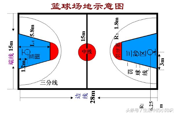 篮球场尺寸揭秘，从专业到日常的全面解析